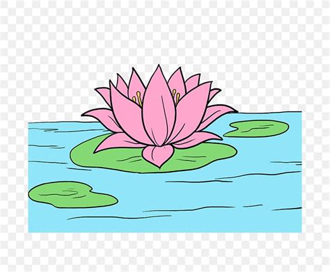 5 aquatic plants drawing|5 water plants drawing easy/Aquatic plants .